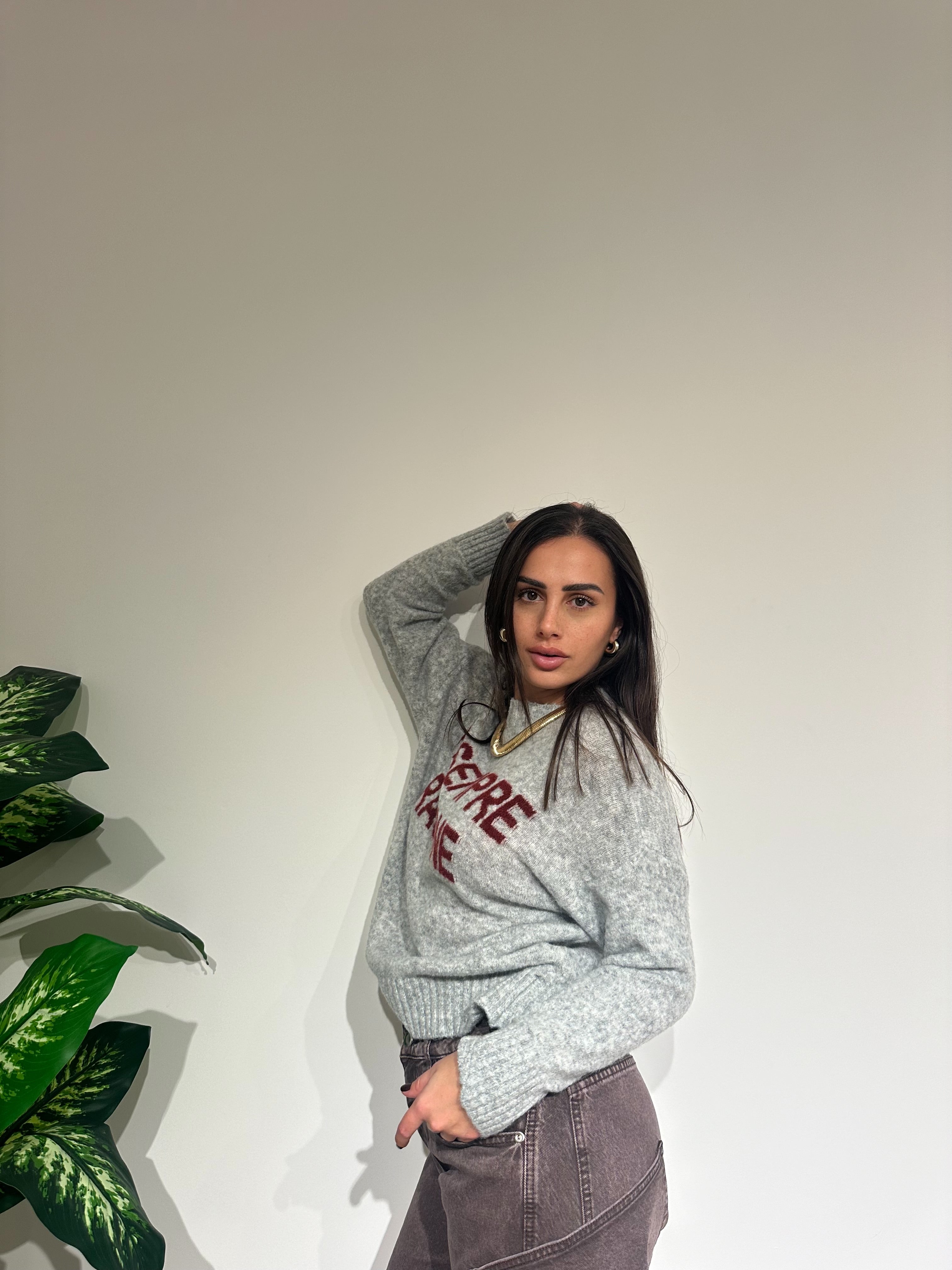 Pull “ ho sempre ragione “