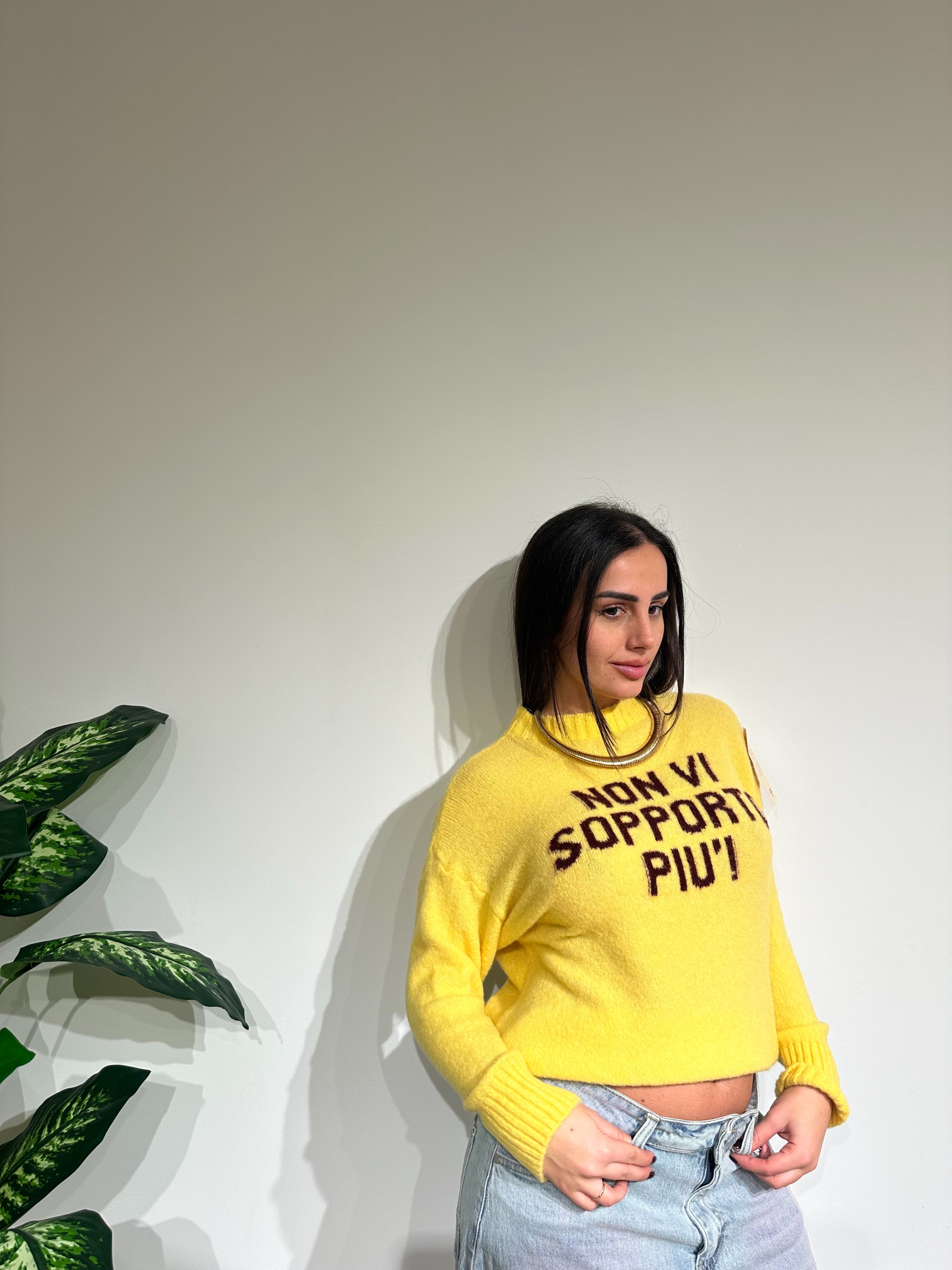 Maglione NON VI SOPPORTO PIU